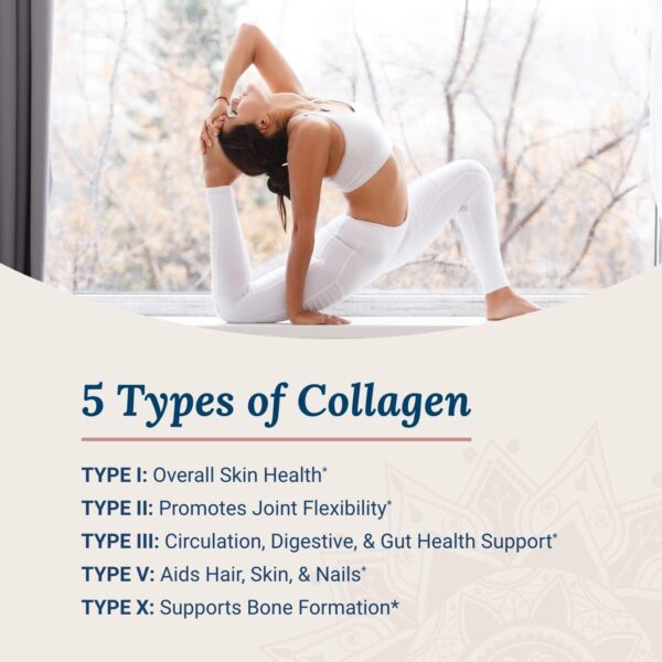 Live Conscious Beyond Collagen Multi Collagen Powder for Women w/Types I, II, III, V & X - Keto Friendly, Hydrolyzed Collagen Peptides Powder Blend w/Biotin & Vitamin C 41 Servings - Image 5