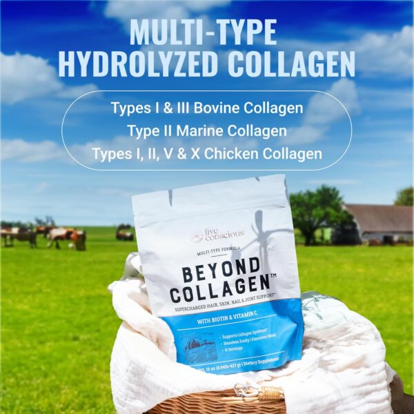 Live Conscious Beyond Collagen Multi Collagen Powder for Women w/Types I, II, III, V & X - Keto Friendly, Hydrolyzed Collagen Peptides Powder Blend w/Biotin & Vitamin C 41 Servings - Image 3