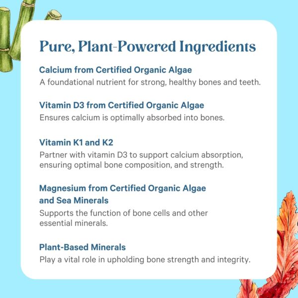 PURE SYNERGY Bone Renewal | Bioavailable Calcium with Cofactors | Natural, Vegan Bone Health Supplement with Vitamin D3, K2, Magnesium, & Boron | for Lasting Bone Strength (150 Capsules) - Image 6