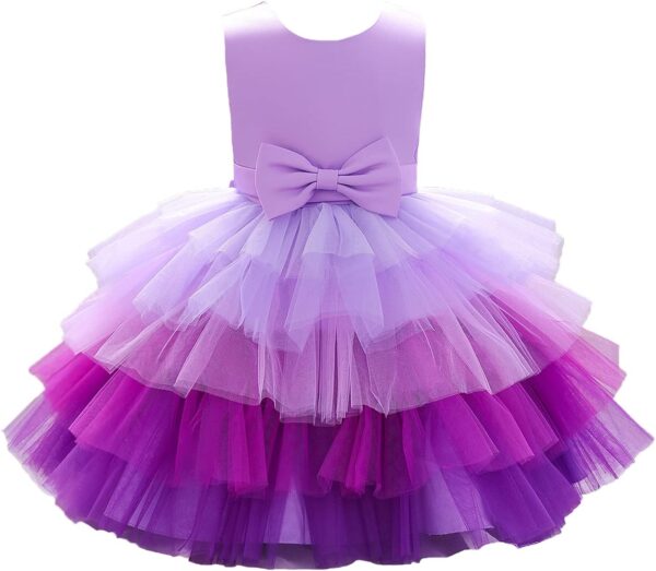 Flower Baby Girl Lace Dress Toddler Tulle Sleeveless Bow Princess Party Wedding Pageant Bridesmaid (0-6T) - Image 2