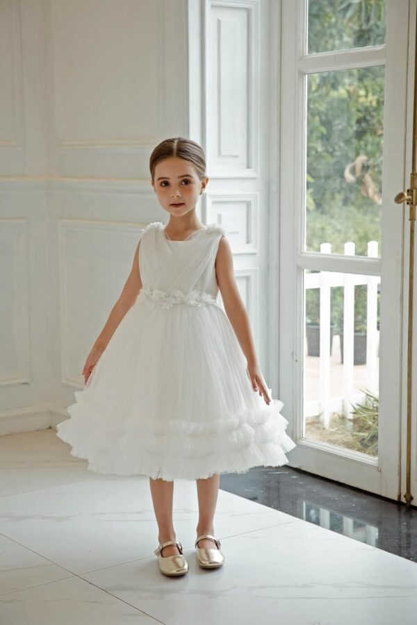 Cross Chiffon Flower Ruffled Lace Dress Fancy Vintage Formal Floral Tulle Pageant Wedding Birthday Party Dresses - Image 6