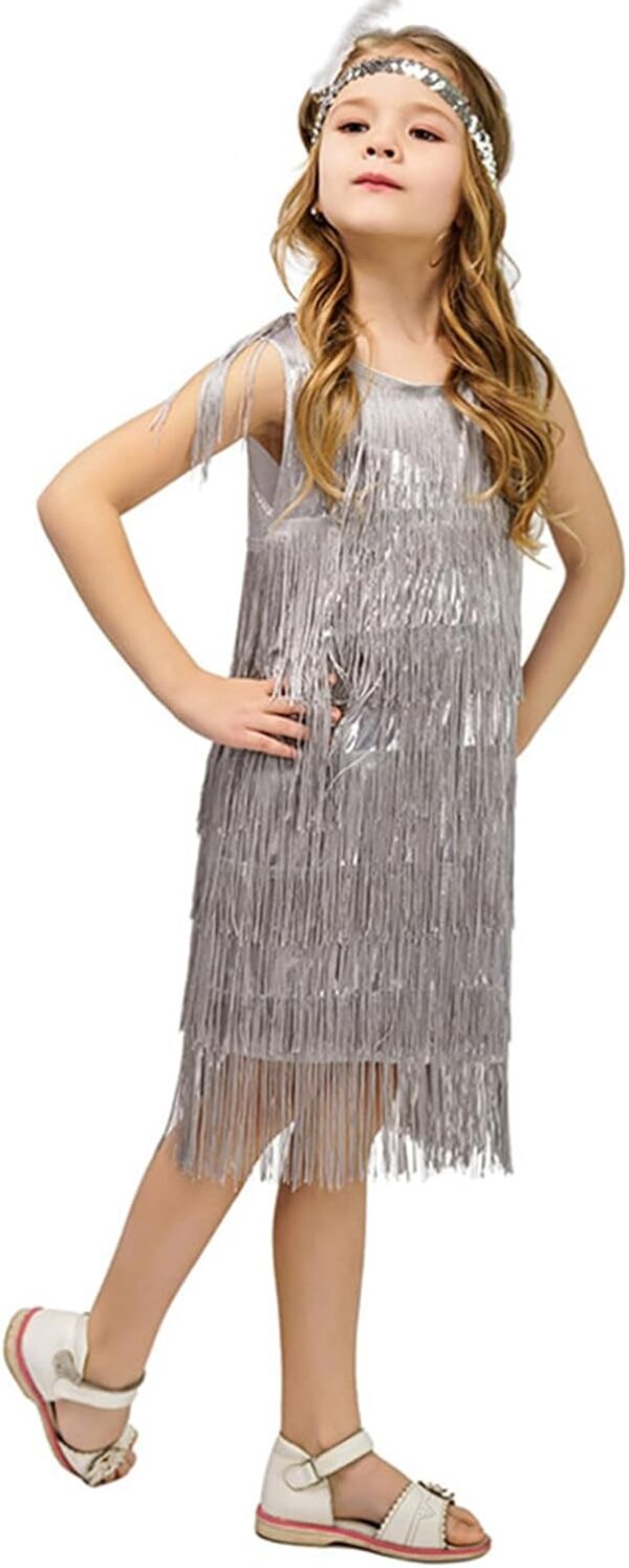 Generic Fringed Dress Round Neck Flapper Dress Retro Latin Dance Stage Costumes for 3-12 Girls - Image 2
