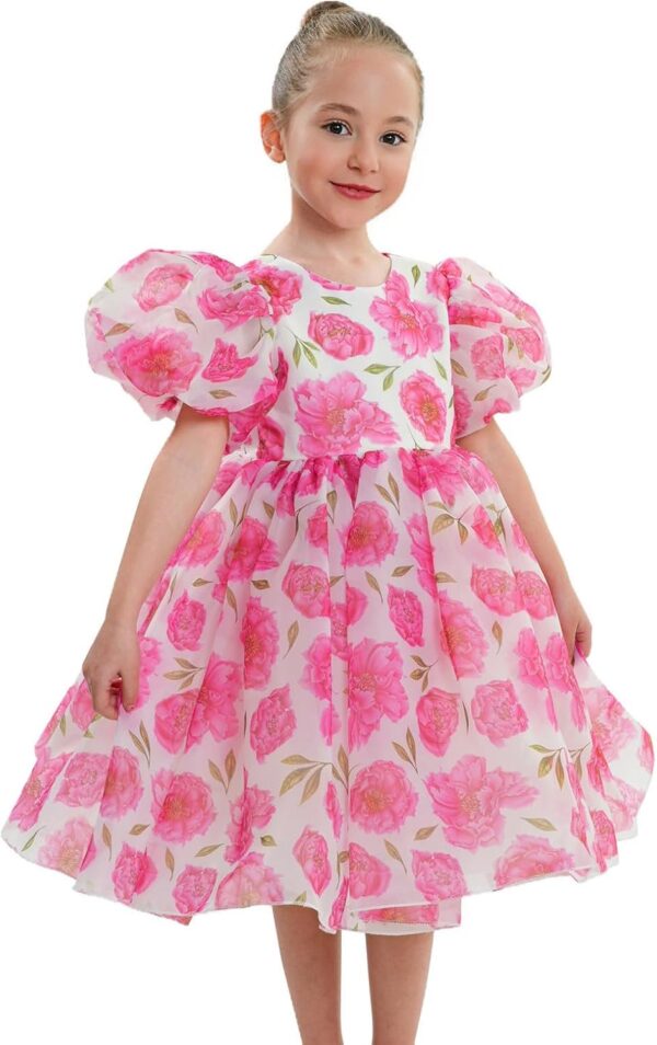 2Bunnies Girl Baby Toddler Puff Sleeve Organza Tulle Tutu Twirly Babydoll Flare Ball Gown Princess Flower Girl Dress - Image 2