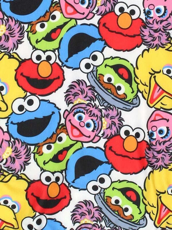 Sesame Street Girls Dress with Panties for Infant and Toddler – White/Multicolor - Image 7